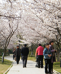 4��1����4��7�գ����˽��ٰ�ӣ����Ŷ