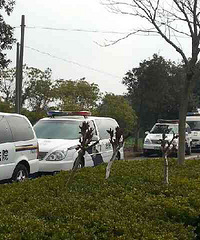 ���µ��·������ ͣ�˺öྯ�� �������ڸ��