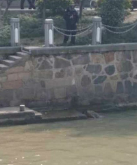 �����������·�����ʬ��110�ѵ��ֳ�