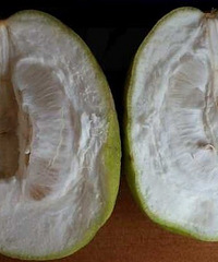 �������Ҿ����ˣ�����������ȫ����