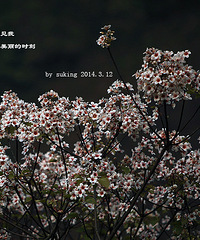 ����˹�������ռǡ�+�ҵ��Ҹ����Ǳ�ҵ��޸�����