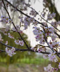 �߽����죬���ͳ�������������ѿPP��