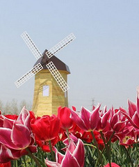 ������̫����������չ���ڶ��������㻨����3��18��ʢ�󿪷�