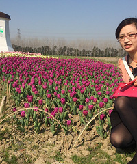 ���޹��������㻨չ̽·���� �������Ӧ�ø��ÿ�