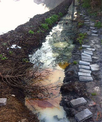 �ɶ�ļ�ͥ������ϣ���������Ź�һ��