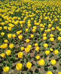 2014����չ �����ú�Ư����