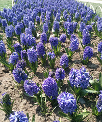 2014����չ �����ú�Ư����