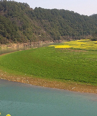 �����ܸ��� ��������֮�� ����ͼ