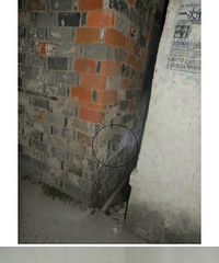 ��ҹ ǽ���ϳ�����һ���Դ���