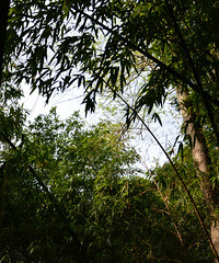 ʲô������񣬽�������������һ�أ���ͼ