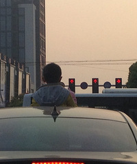 ������ȫ��ʲô�أ�