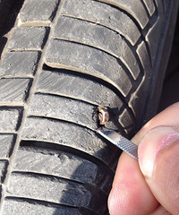 ��̥�����˿ñ