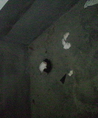 ��ش�С��������ק�������֪����