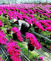 4��19����5��6�վٰ��й������ƶž黨չ