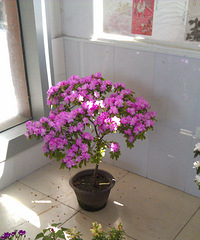 ĵ�������ֳ�ֱ����ȥ���е����˻��е���