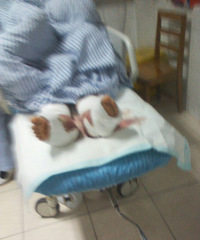 ������������֢����4¥���£������м��ڴ�