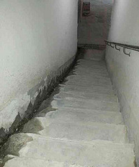 ��Ԫ�������ӣ�����ƭ��!