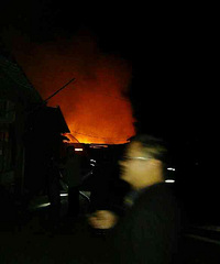 ��������ľ����������