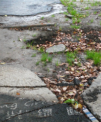 ˭����һ����̬�̵��ϵ�Σ������