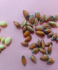 DIY�Լ�����������~~~����ϲ��Ŷ~~~~~