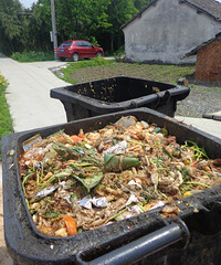 �����ĺã���������������ʽ��Ӧ����̭��