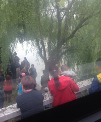 ��ˮ�嶫�����¸ոշ���һ����ʬ��ͼ��