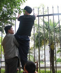 ��Խ���������� ��ͬѧ���󱻴̴���ͼ