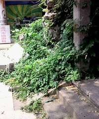 ƿɽ��԰�ſڣ���⾮�������Ʊ�����ײ����