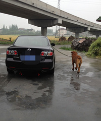 ���¿���޹���ʽ���߶˴����ϵ���