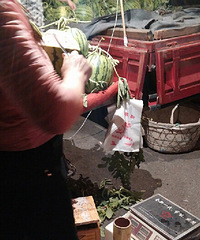 ��ˮ����ѧҹ̯�ϵı���Ĥˮ����Ҫ�򡫡�