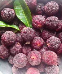 �����������Լ���ʳ�� ��������~