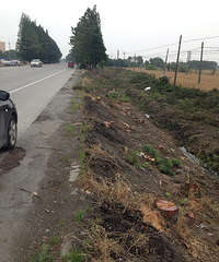 ʮ�����������������