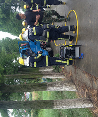 ������������԰��ͨ�¹�