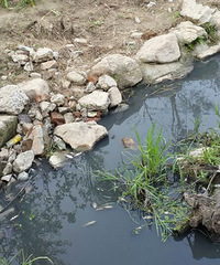 ���˵�ˮ���и�����