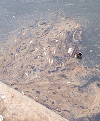 �����ܲ����·�����̵��Ա�ȫ�����㣡ʲô�����