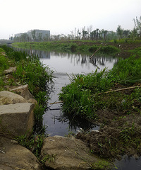 ƽʱ��һ��ˮ���ǿ��ԣ����췢����ʲô��