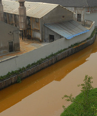 ��Ԫ·��˿����Ⱦ������أ�����ƬΪ֤