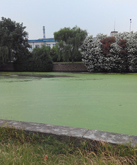 �йز��ţ��º��̶��Եĺ�������ˣ����Ƕ����𣿣���