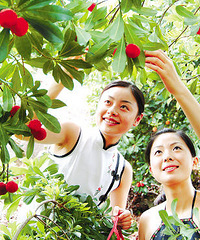 [����]������ɽ����÷ũ���� ��������