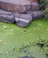 Ϊʲô��ô��С�������ˡ������������������