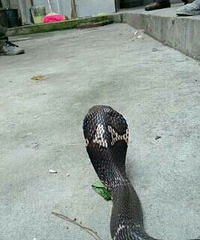 �ѵ������������� �����ܵ�������