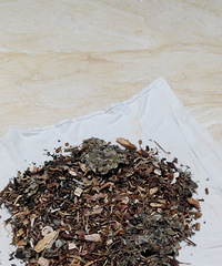 ���������ˡ���������û�ó棡