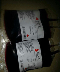 �����ŵ���ľ�У�¥���Ǳ�������