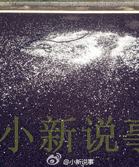 ����һС��18¥����������������ҵ��Һ���