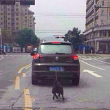 这一幕看呆了