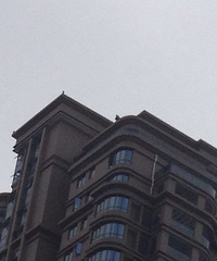 ���˶���������˹������¥������