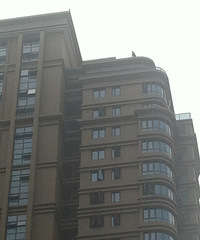 ����������˹��¥������