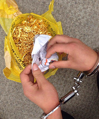 ������ν�Բ�ƽ����԰������ƻ񣡣���