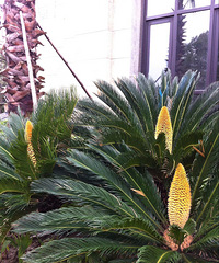 ��������С�����������������