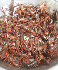 2Сʱ����Ϻ��ս��ͼ